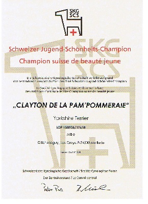 Du clos de la belle heloise - HOMOLOGATION DU TITRE DE CHAMPION SUISSE DE BEAUTE JEUNE