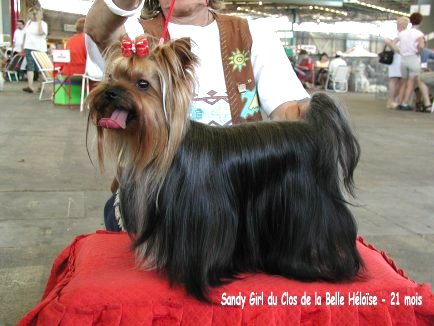 Sandy girl Du clos de la belle heloise