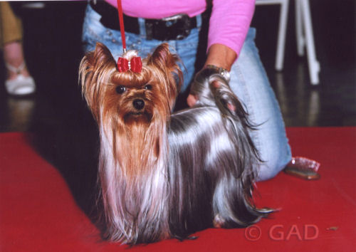 Vénus beauté Du clos de la belle heloise