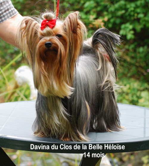 Davina Du clos de la belle heloise