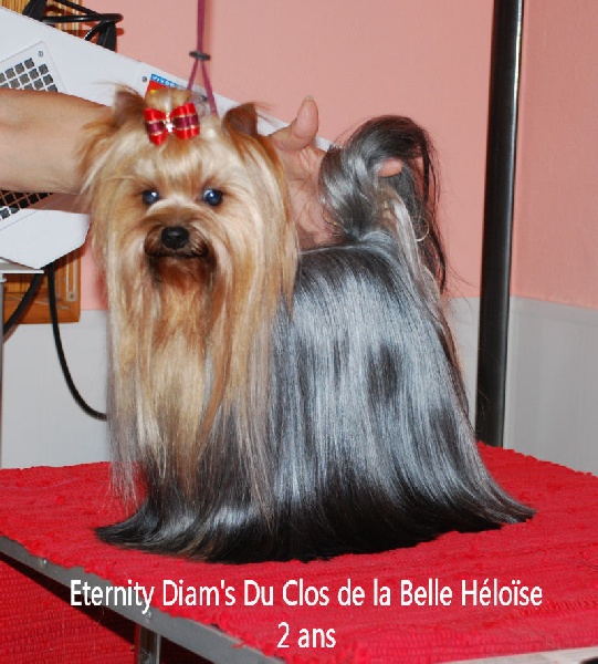 Eternity diam's Du clos de la belle heloise