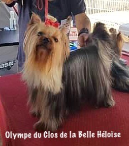 Olympe Du clos de la belle heloise