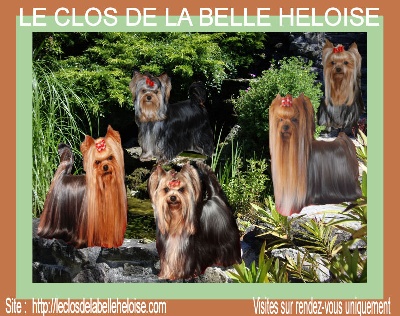 Du clos de la belle heloise - Sur le bassin !