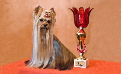 Du clos de la belle heloise - CHAMPION SUISSE DE BEAUTE